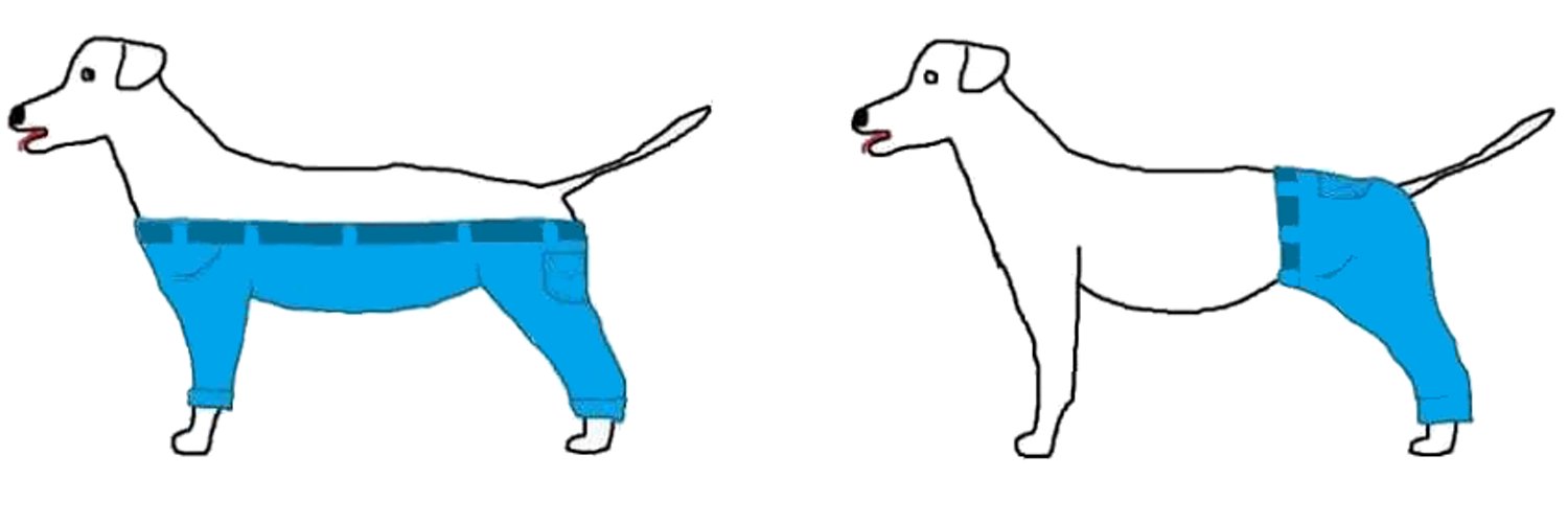 Как бы собаки носили штаны: настоящие факты и фантазии