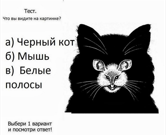 Правописание "видишь": грамматика, правило, примеры употребления