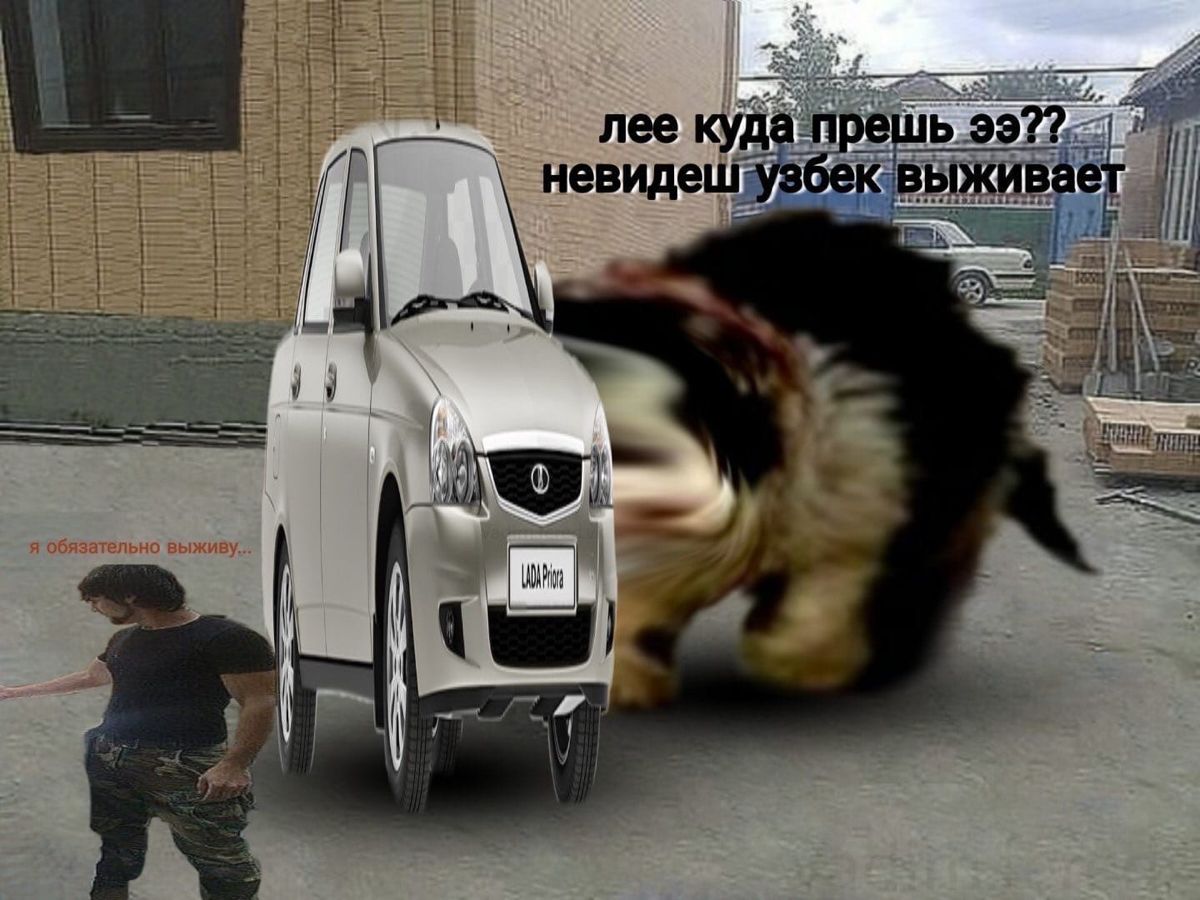 Лишь куда прешь, не видишь — узбек идет