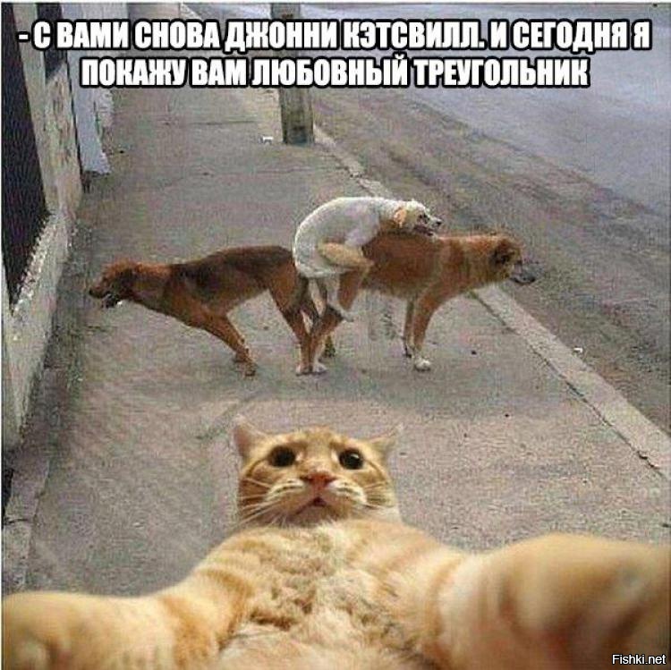 Ты видишь суслика нет а он есть — крылатая фраза из фильма дмб