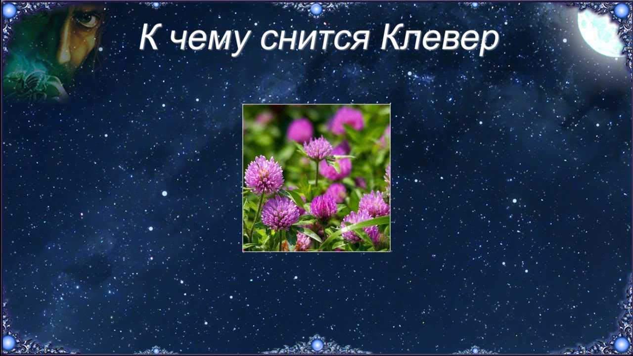 К чему снится букет цветов: толкование по сонникам