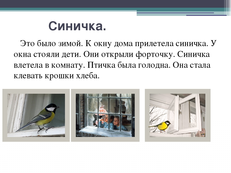 Птицы солнечного сада