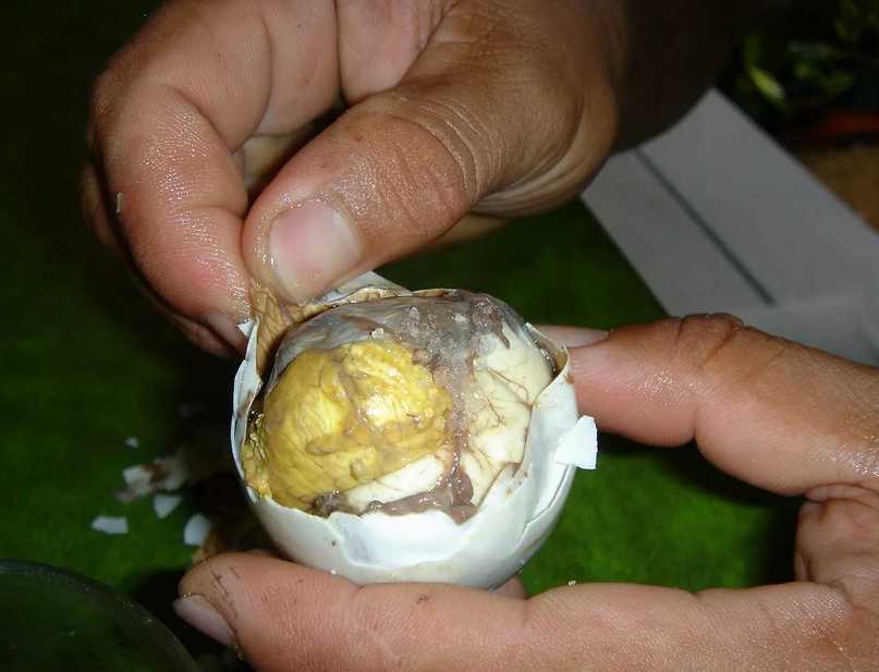 К чему снятся разбитые куриные яйца – сонник энигма
