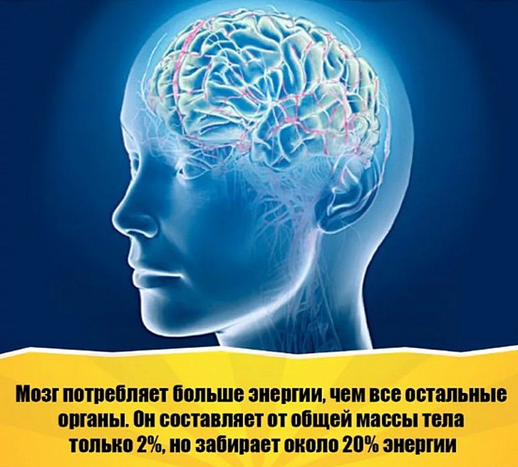 Дата выхода фильма «области тьмы 2»