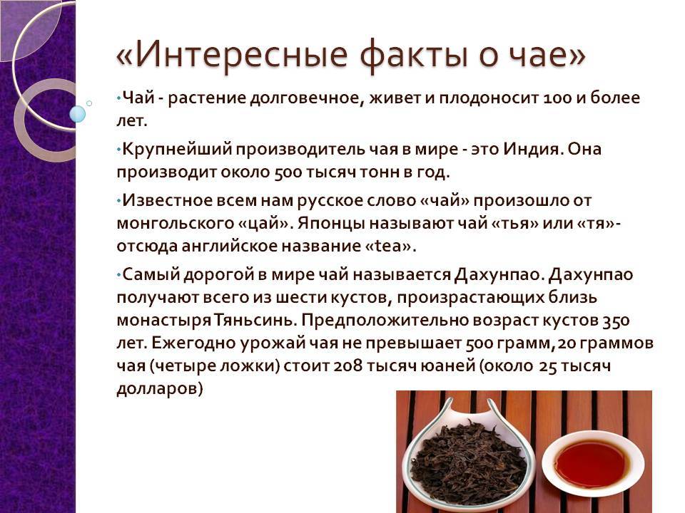 Что такое мемы и почему они так популярны | рбк тренды