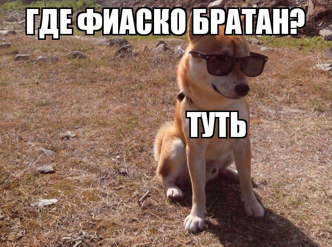 «это фиаско, братан»: история самого знаменитого мема октября 2017 и полное видео