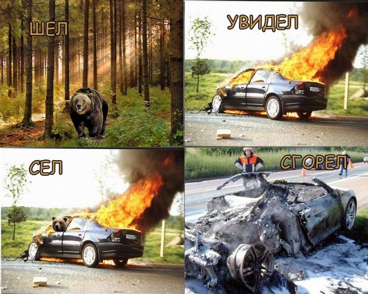Откуда мем с медведем в горящей машине? узнай все подробности и историю мема здесь!
