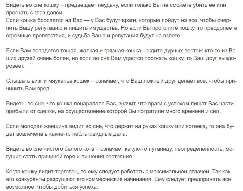 Как расшифровать сон, в котором много кошек — 42 точных значения