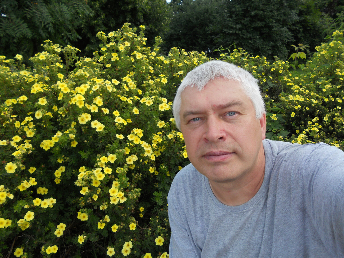 Альтер эго: что это, виды и примеры | рбк тренды