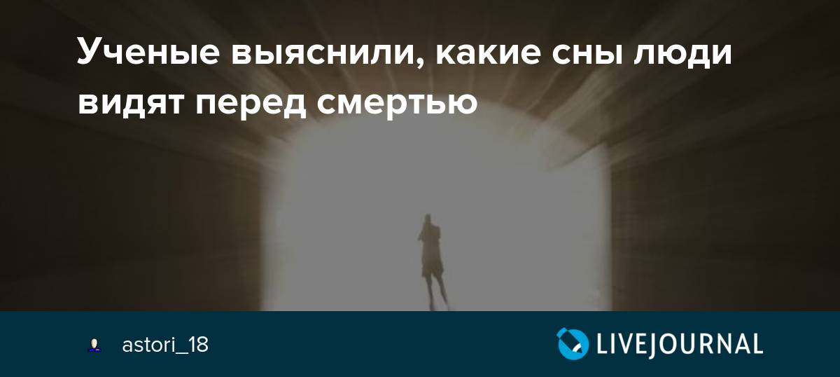 45 сновидений, которые никогда нельзя игнорировать - леди стиль жизни