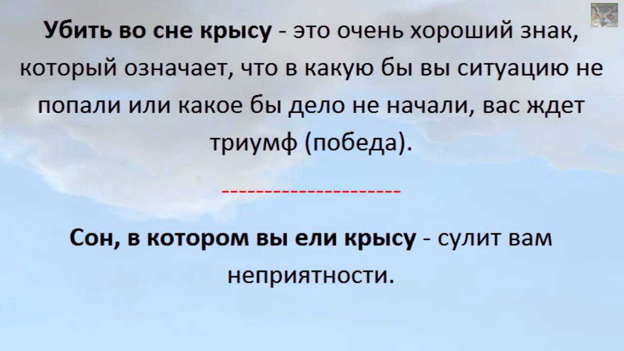 Сонник дохлые крысы. к чему снятся дохлые крысы во сне приснились