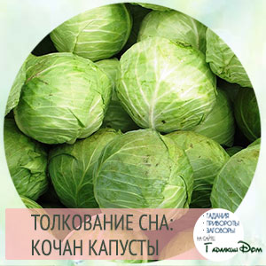 К чему снится капуста, есть капусту, выращивать капусту во сне? основные толкования разных сонников — к чему снится капуста