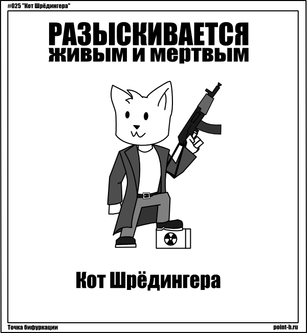Парадокс «кот шредингера» - класс!ная физика