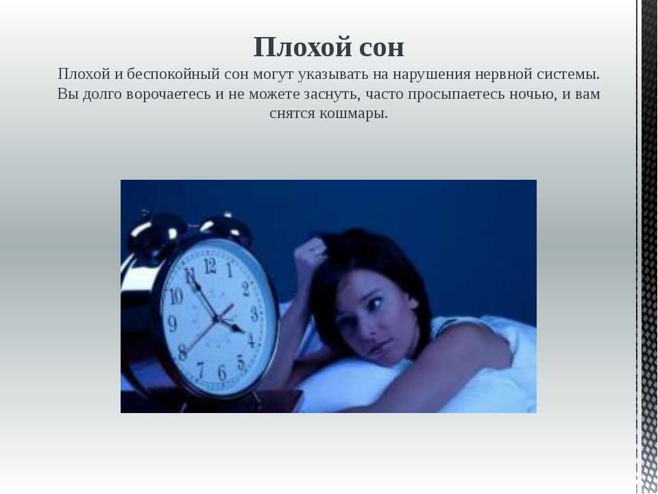 К чему снятся хомяки