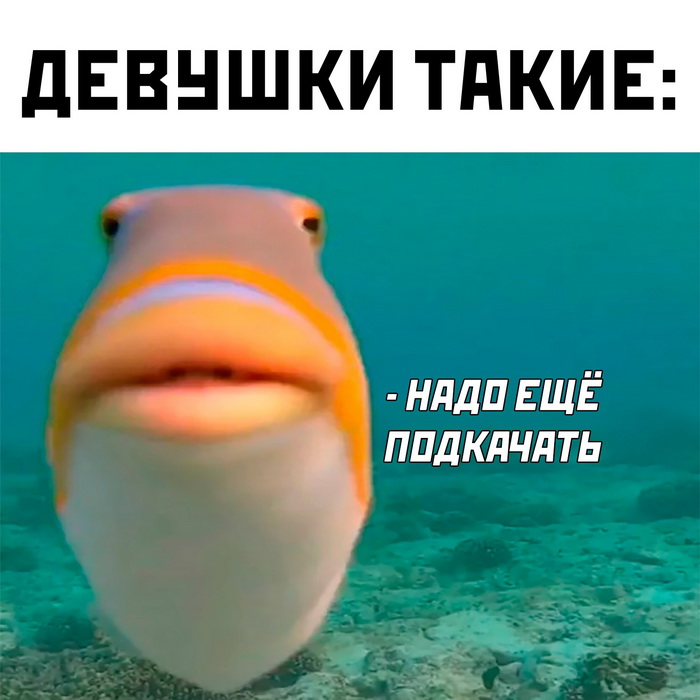 Лучшие мемы за 2017 год | «лайкни» - likeni.ru