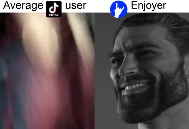 Fan vs enjoyer? – memes feel