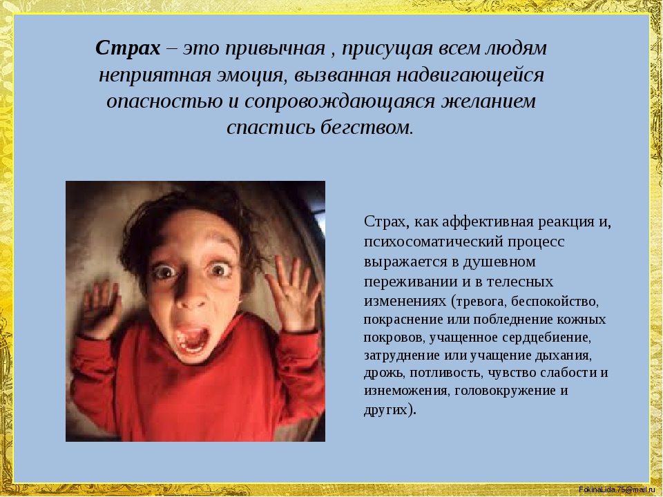 Страх: психологические основы и известные научные исследования этого феномена | блог 4brain