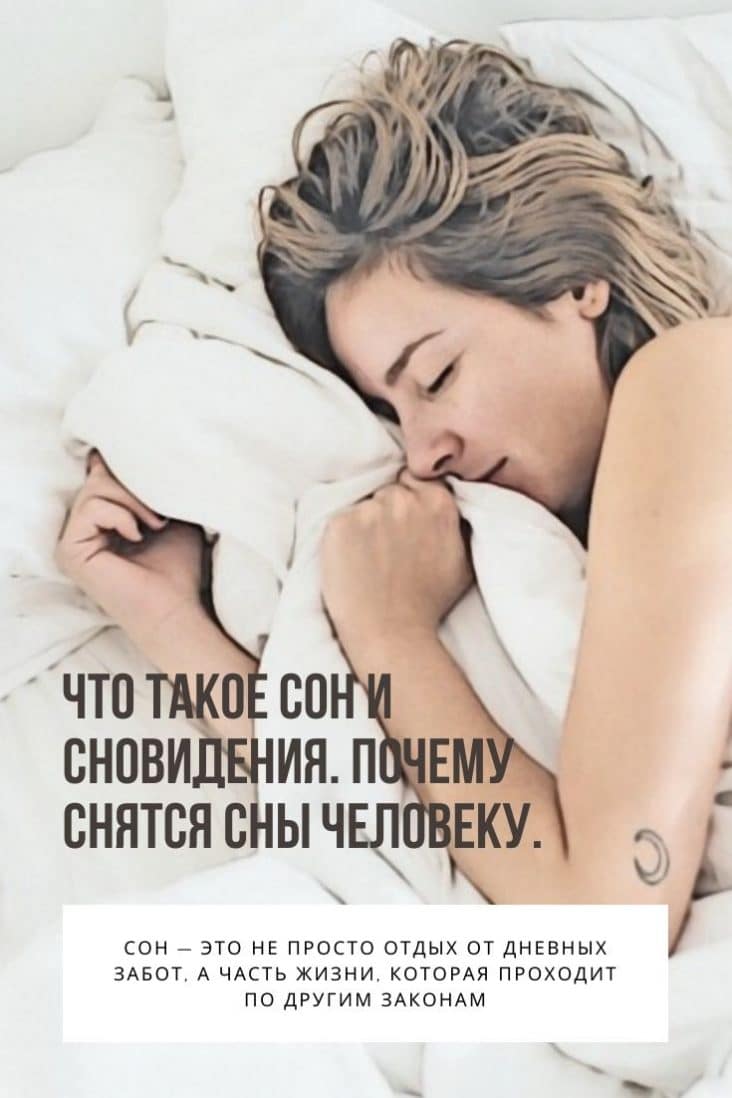 К чему снится хомяк. видеть во сне хомяк - сонник дома солнца