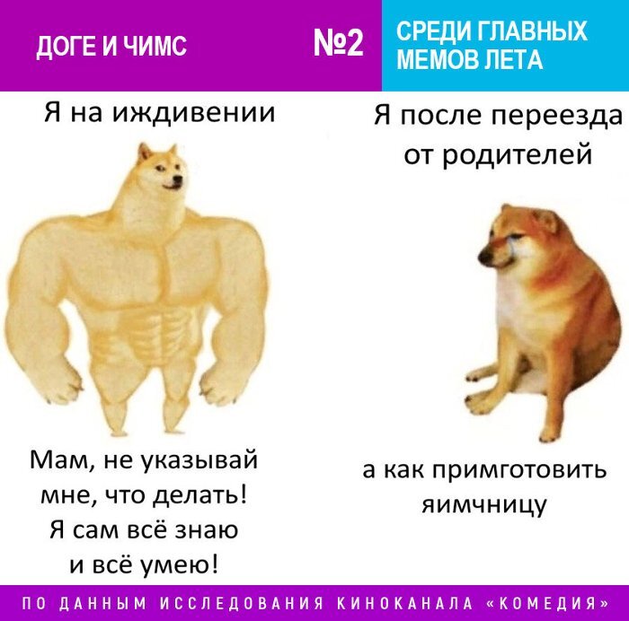 Мемы с дубом - что за тренд мудрое мистическое дерево