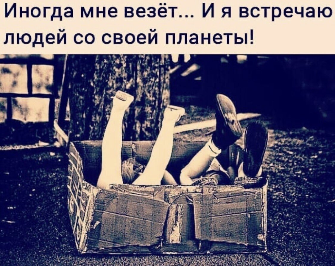 Аквариумная рыбка которая плюется камнями