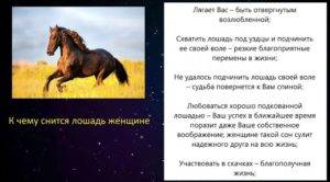 Что означает видеть во сне лошадь с жеребенком 🐴 — 38 толкования ❗ по разным сонникам: к чему снится мужчине или женщине белая либо черная кобыла, которая родила