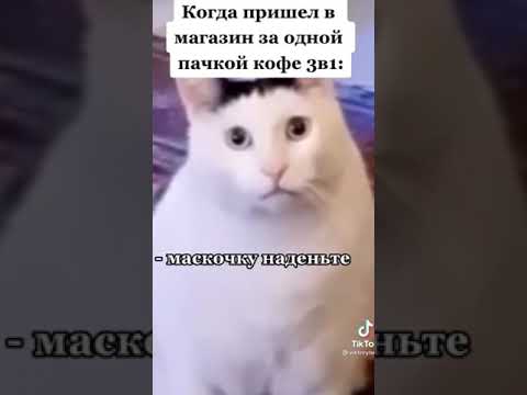 Жена дмитрия брекоткина