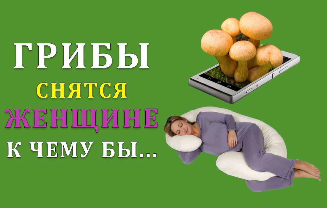 К чему снится сбор грибов 🍄 — топ толкований сна ✨ по 50 сонникам: что означает для мужчины или женщины собирать в лесу много съедобных больших грибочков
