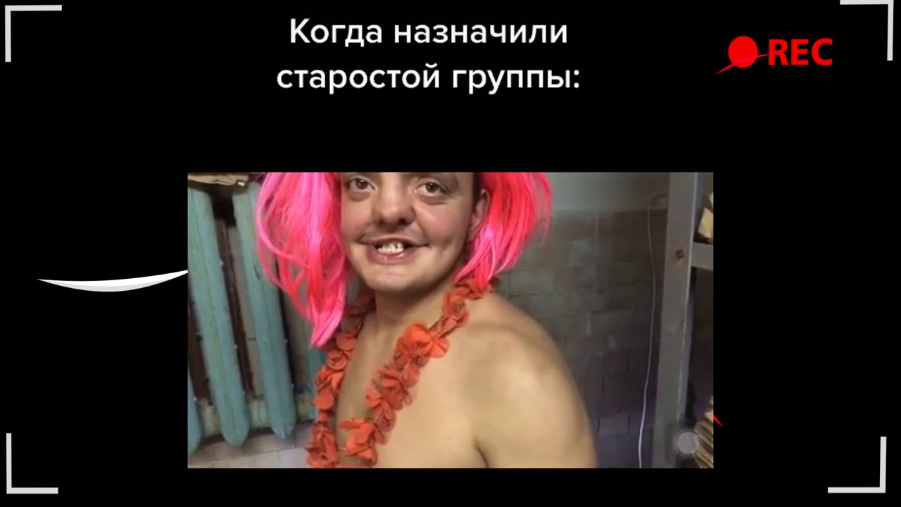 Водители, машины, гномы за золотом — откуда взялись и что значат мемы про twitch и разоблачение некоглая - cq