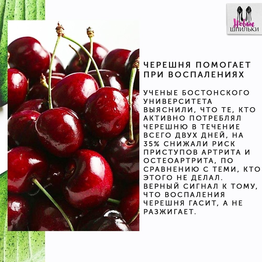 К чему снится желтая или красная черешня женщине и мужчине?
к чему снится желтая или красная черешня женщине и мужчине?