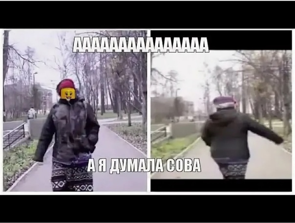 А я думала сова откуда мем
