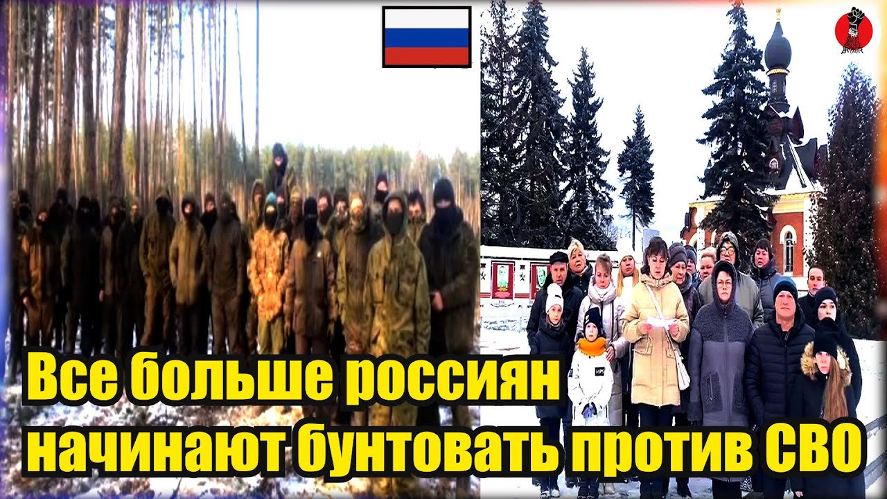 Кот-ушанка и медведь-матрешка стали талисманами олимпийской сборной россии