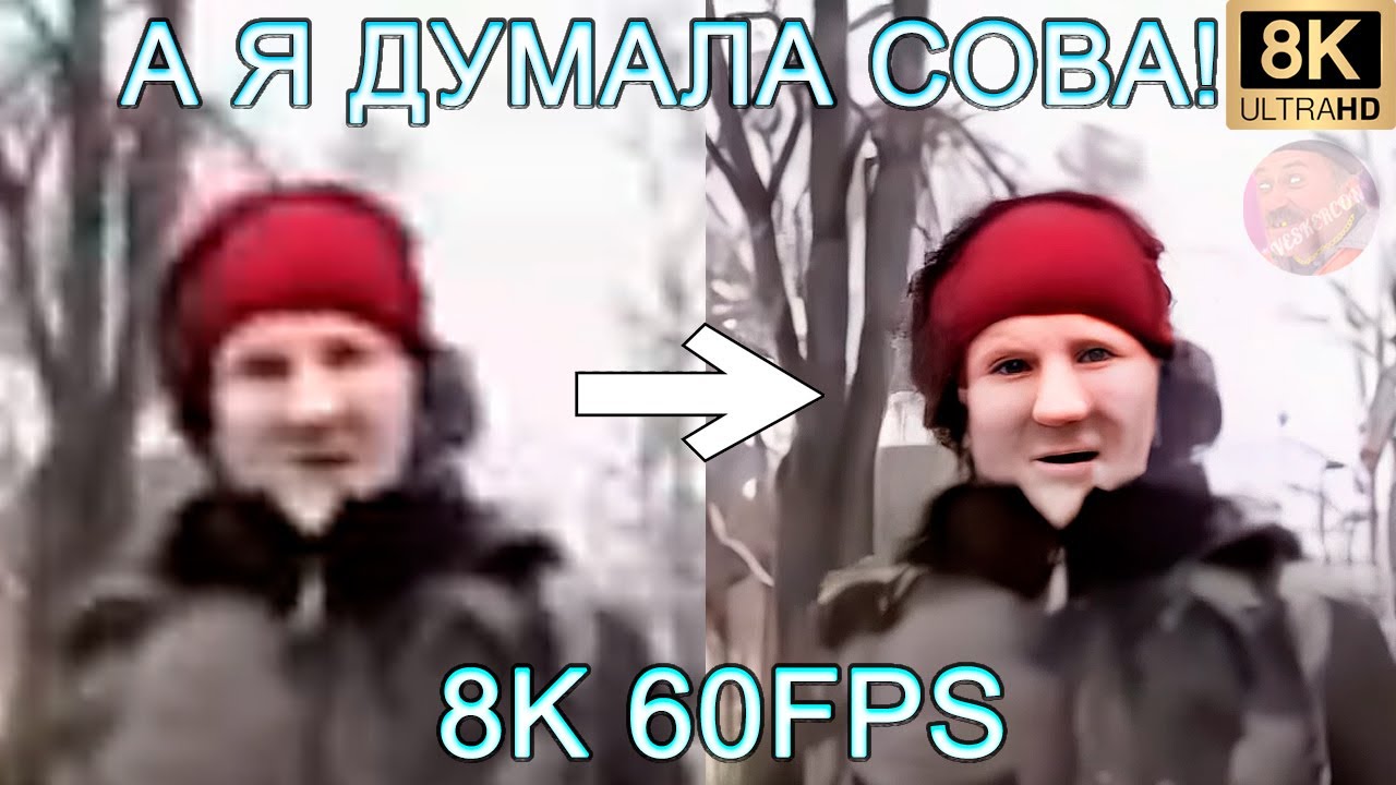 Оригинал видео «а я думала сова»: история мема и его приколы