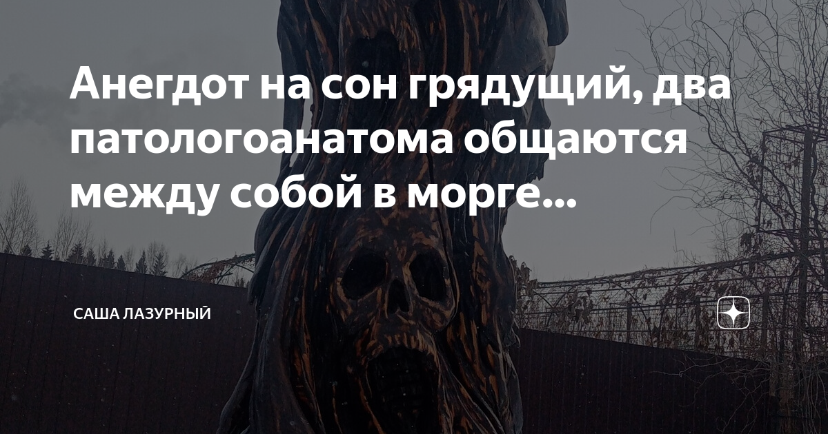 Какие три вида моргов существуют?