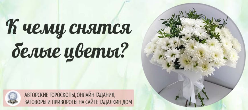 К чему снятся белые цветы Сонники редко дают негативный прогноз на будущее тому, кто видел данный образ в своих ночных грезах Но чтобы дать более точное
