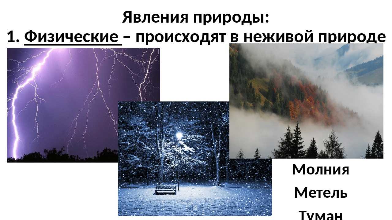 Приснился сильный ветер за окном, к чему, толкование сна в сонниках