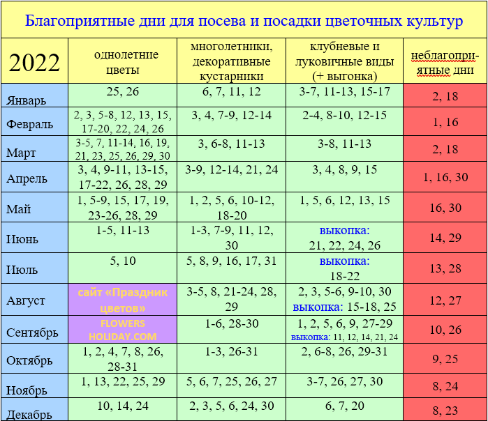 Когда сажать рассаду в 2017 году. урожай всем на зависть! – в курсе жизни