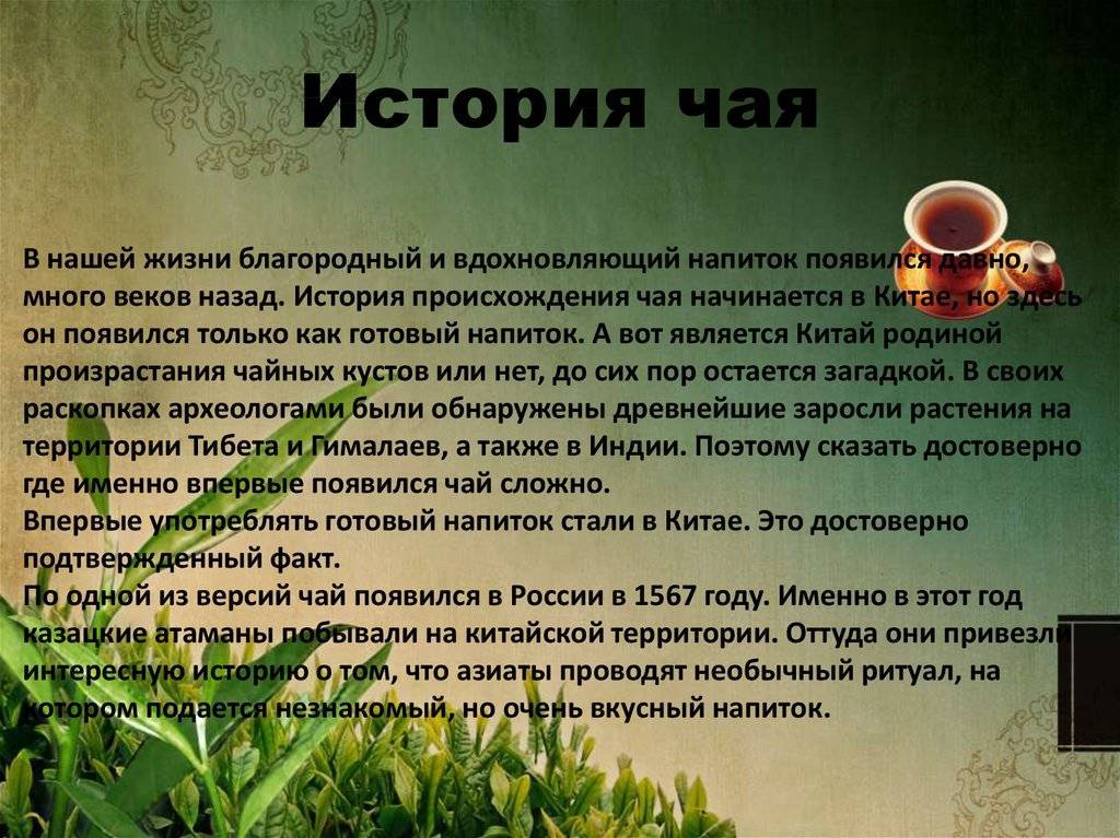 Краткий курс мемологии: над чем смеялся рунет 27 лет | calltouch.блог