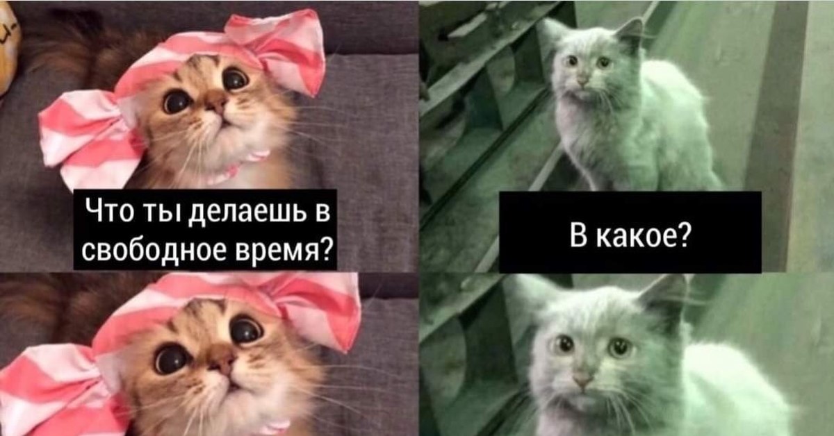 Ответы на любые вопросы