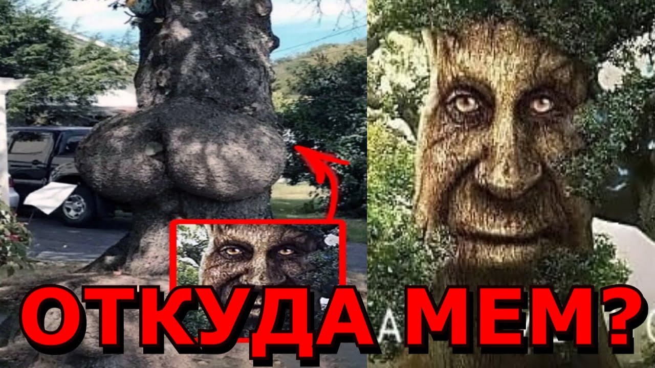 Стихи, берущие за душу - о жизни и любви | rl разные люди