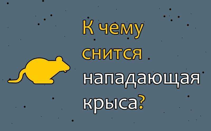 К чему снится мертвая или дохлая крыса? приснилась умирающая раненая крыса? видели во сне мертвую большую белую, серую или черную? толкование по соннику энигма.