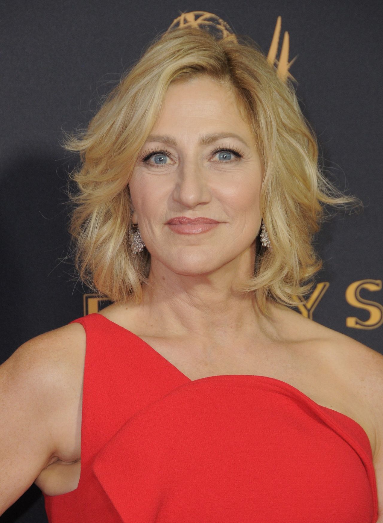 Edie falco age, net worth, boyfriend, family, height and biography - thewikifeed