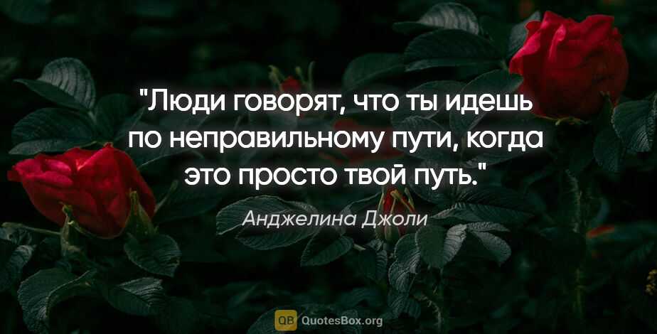 Цитаты аджелины джоли о жизни, красивые фразы о любви, людях, себе и одиночестве
