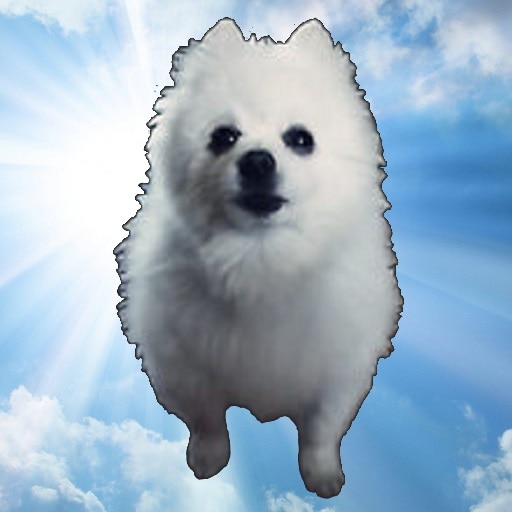 Gabe dog? – memes feel
