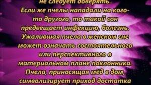 К чему снятся пчелы - значение сна пчелы по соннику
