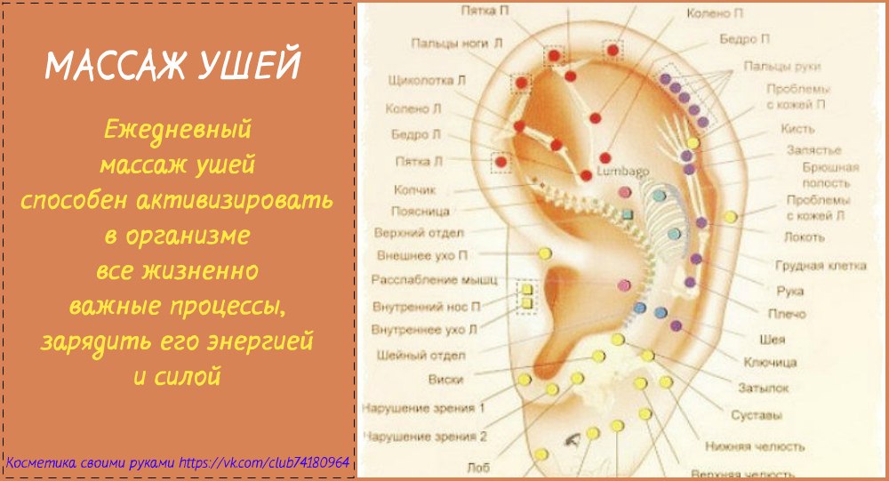 Акупунктура уха, иглоукалывание ушной раковины в китайской медицине