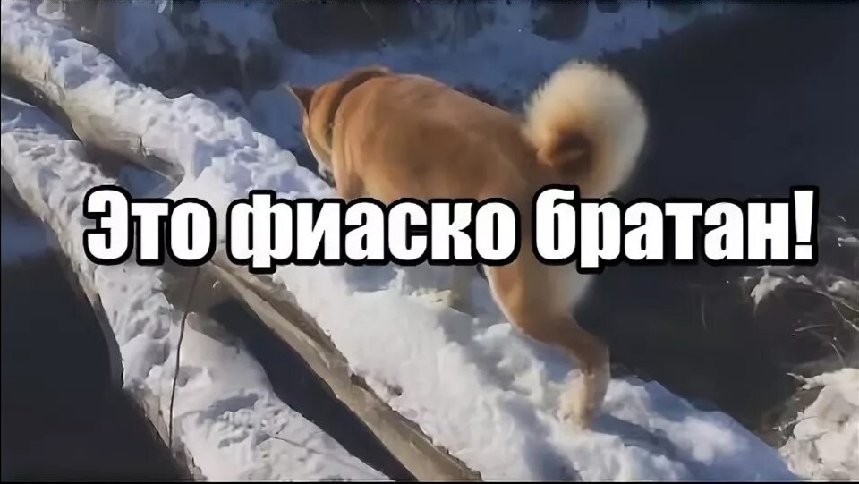 Что за мем про фиаско. это фиаско, братан