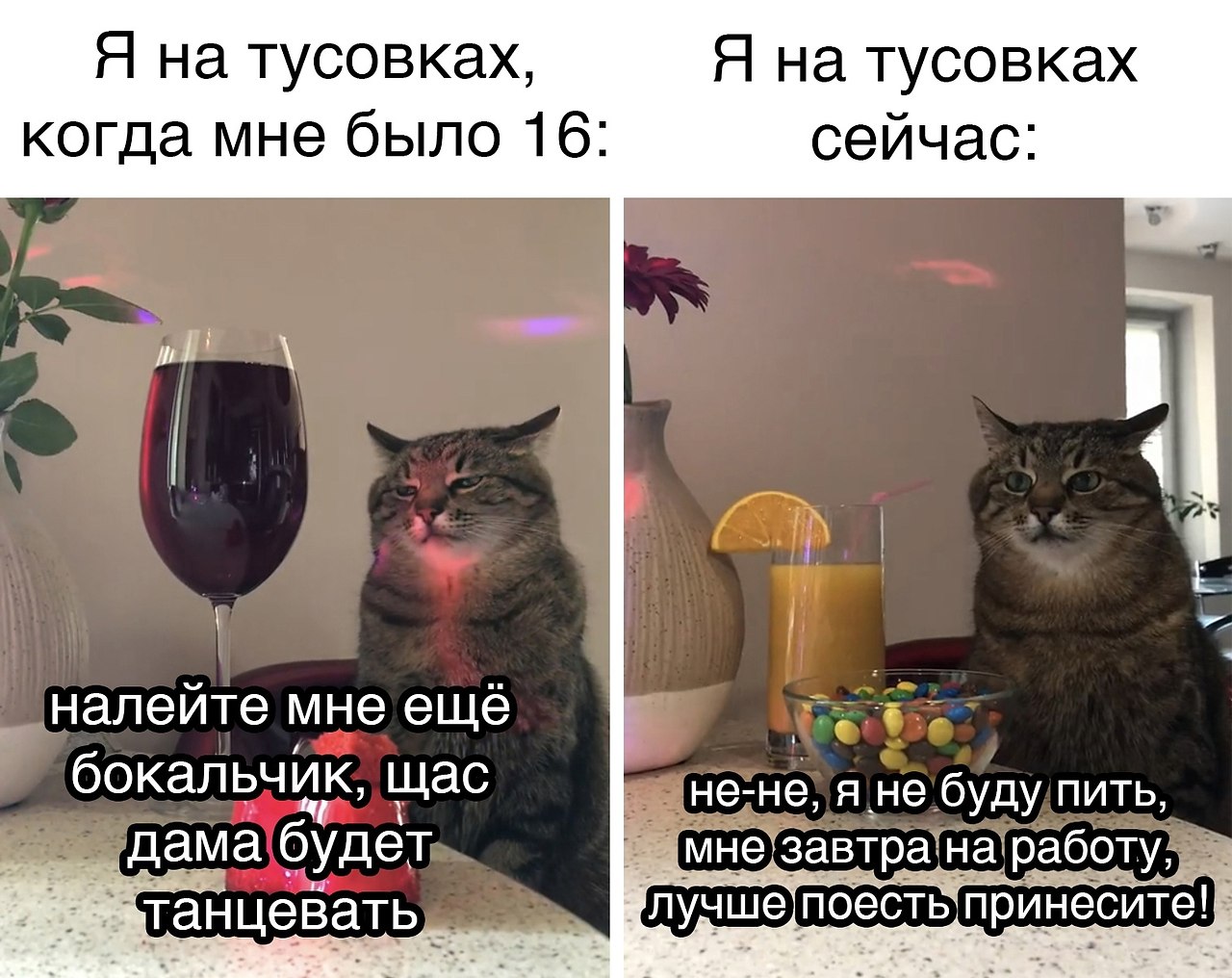 Популярные интернет мемы. roll safe или негр с пальцем у виска