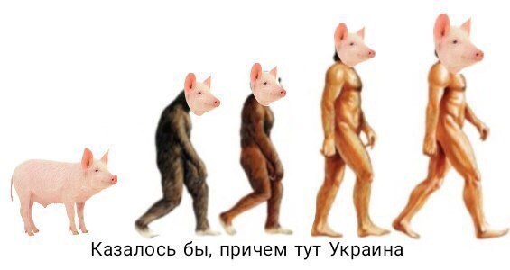 Что за мем «что хорошего в том, что ты париж». цитата из шоу «мужское/женское» высмеивает вейперов. — medialeaks.ru на ru24.net