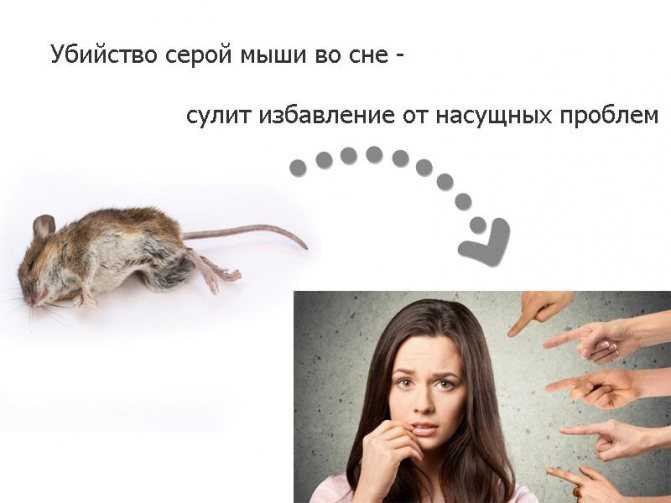 Зачем человеку сон и почему возникают сновидения