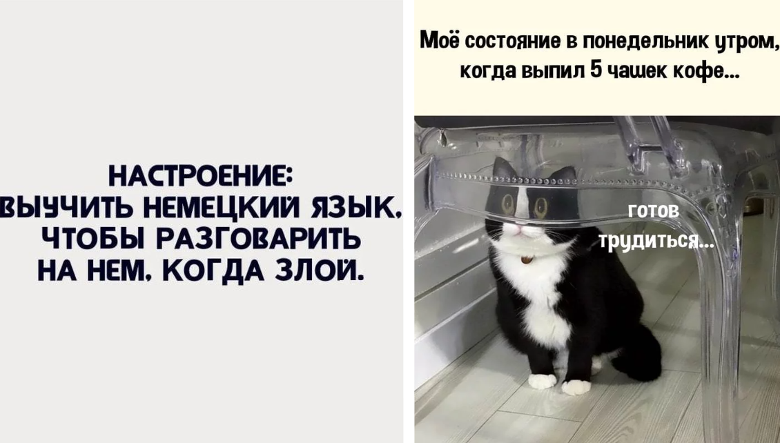 Едкие статусы с сарказмом